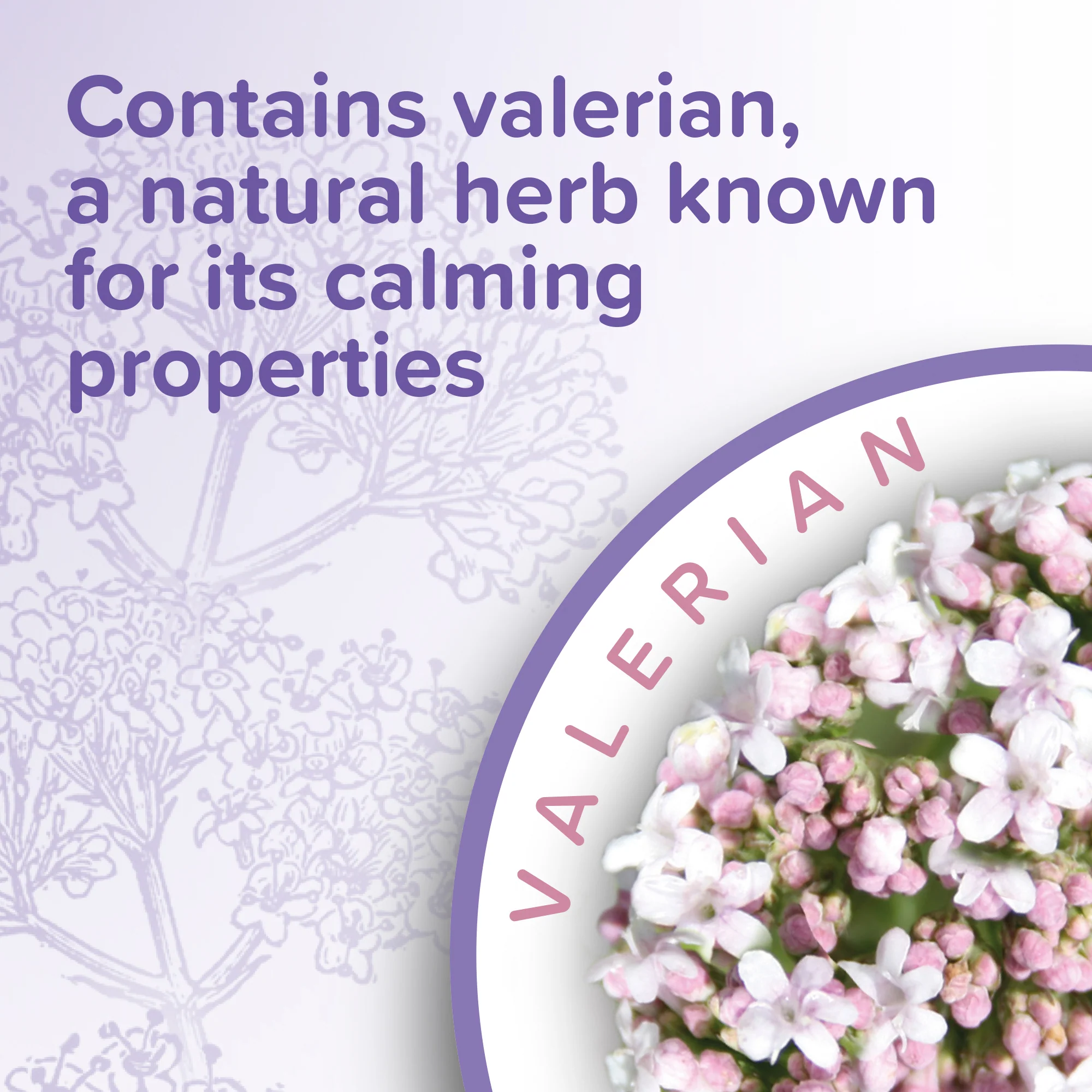 Beaphar Calming Cat Treats 35g - Image 4