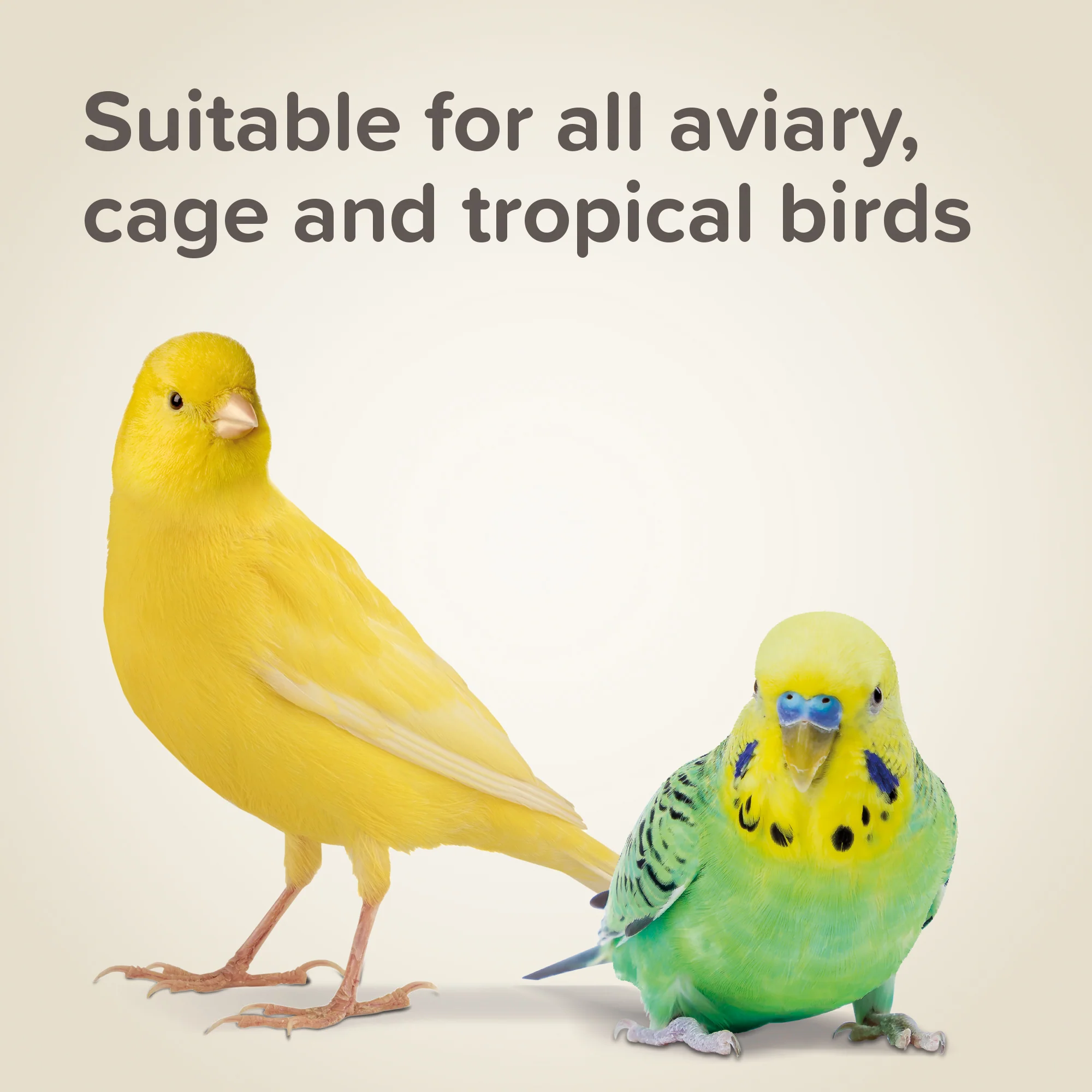 Beaphar Cana Grit 225g - Image 5