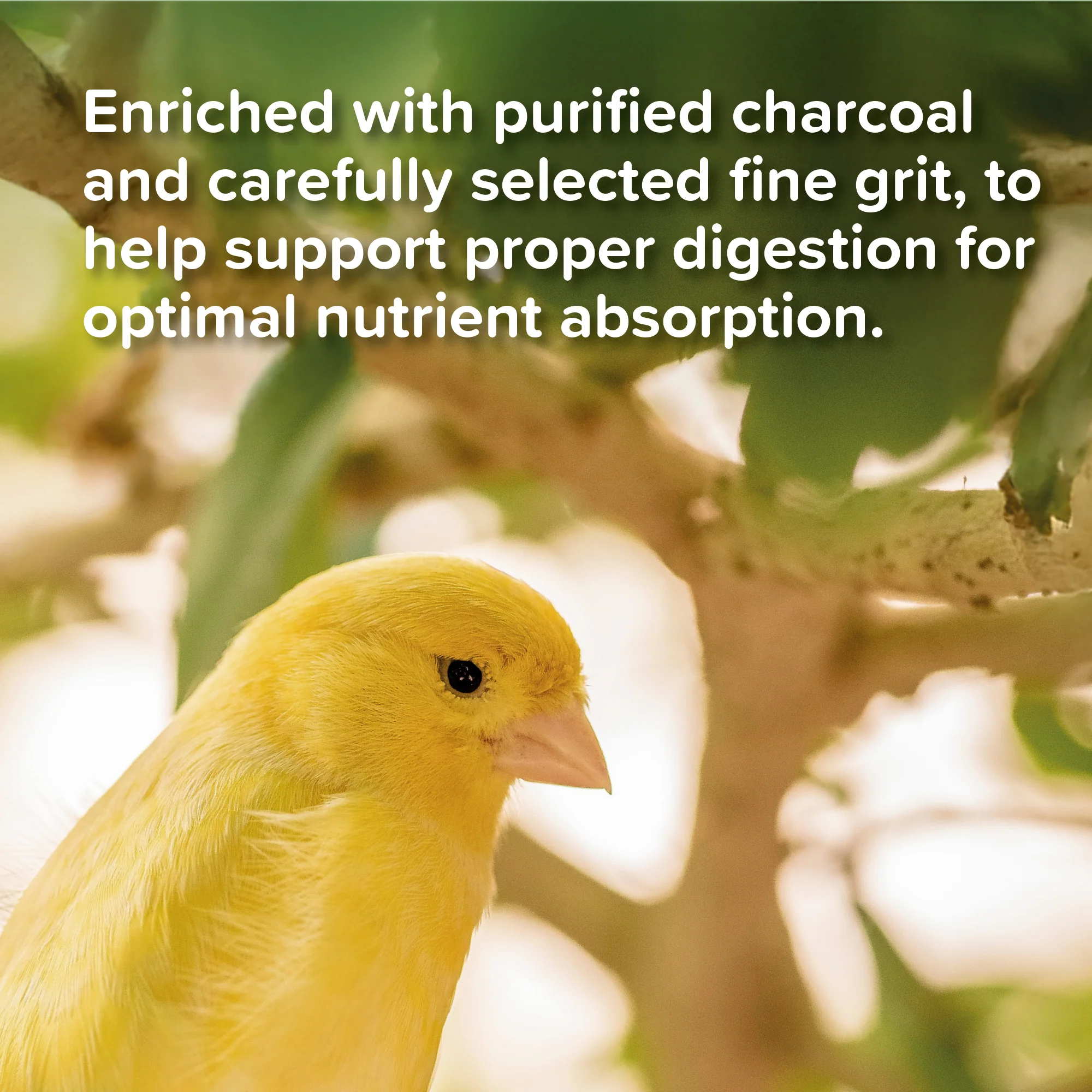 Beaphar Cana Grit 225g - Image 6