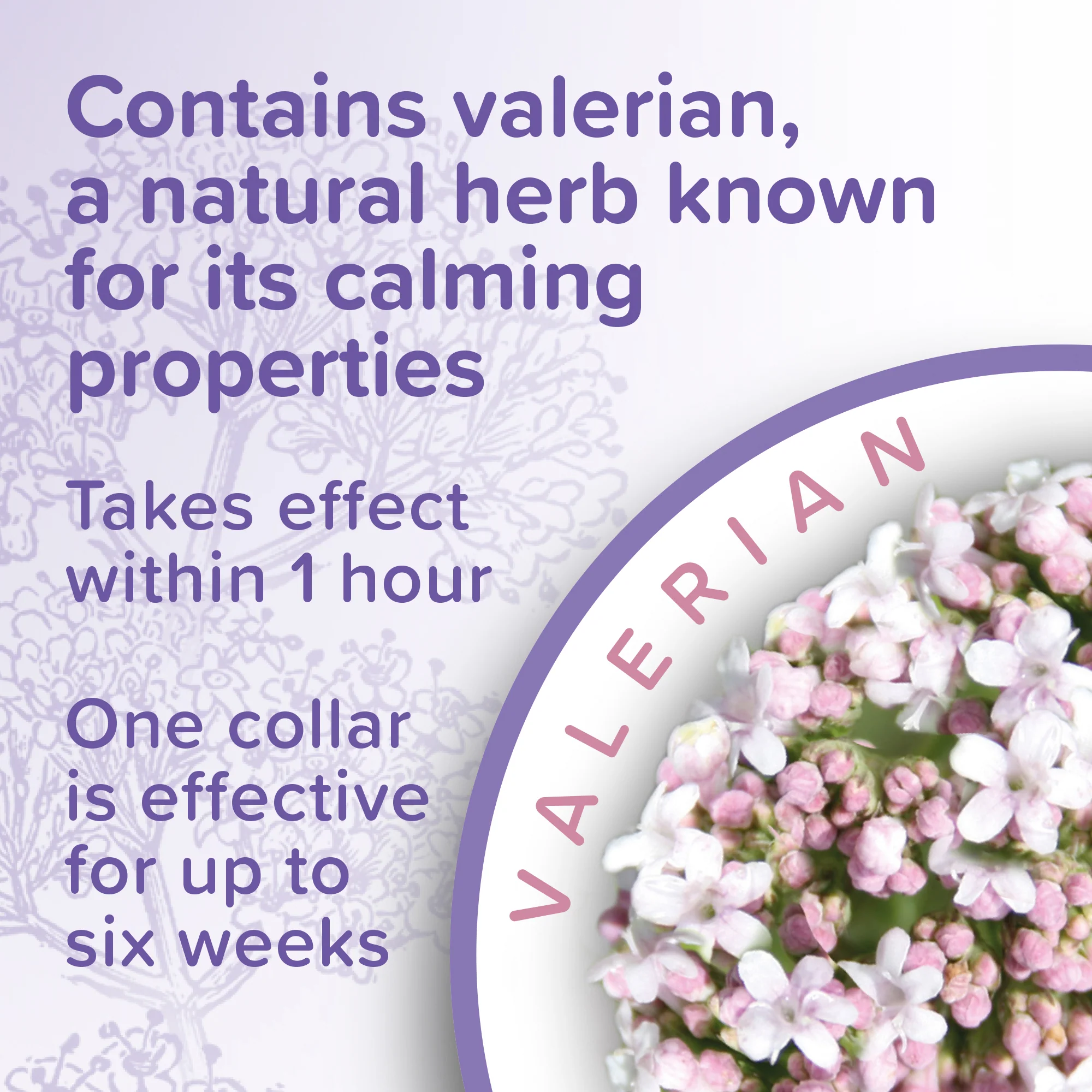 Beaphar Cat Calming Collar - Image 5