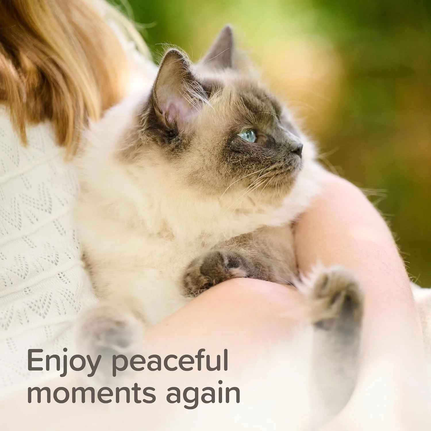 Beaphar Cat Calming Spot On 3 Weeks Cover - Image 4