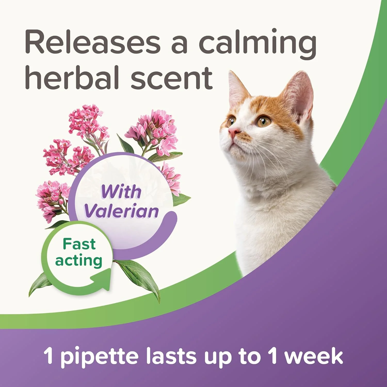 Beaphar Cat Calming Spot On 3 Weeks Cover - Image 7