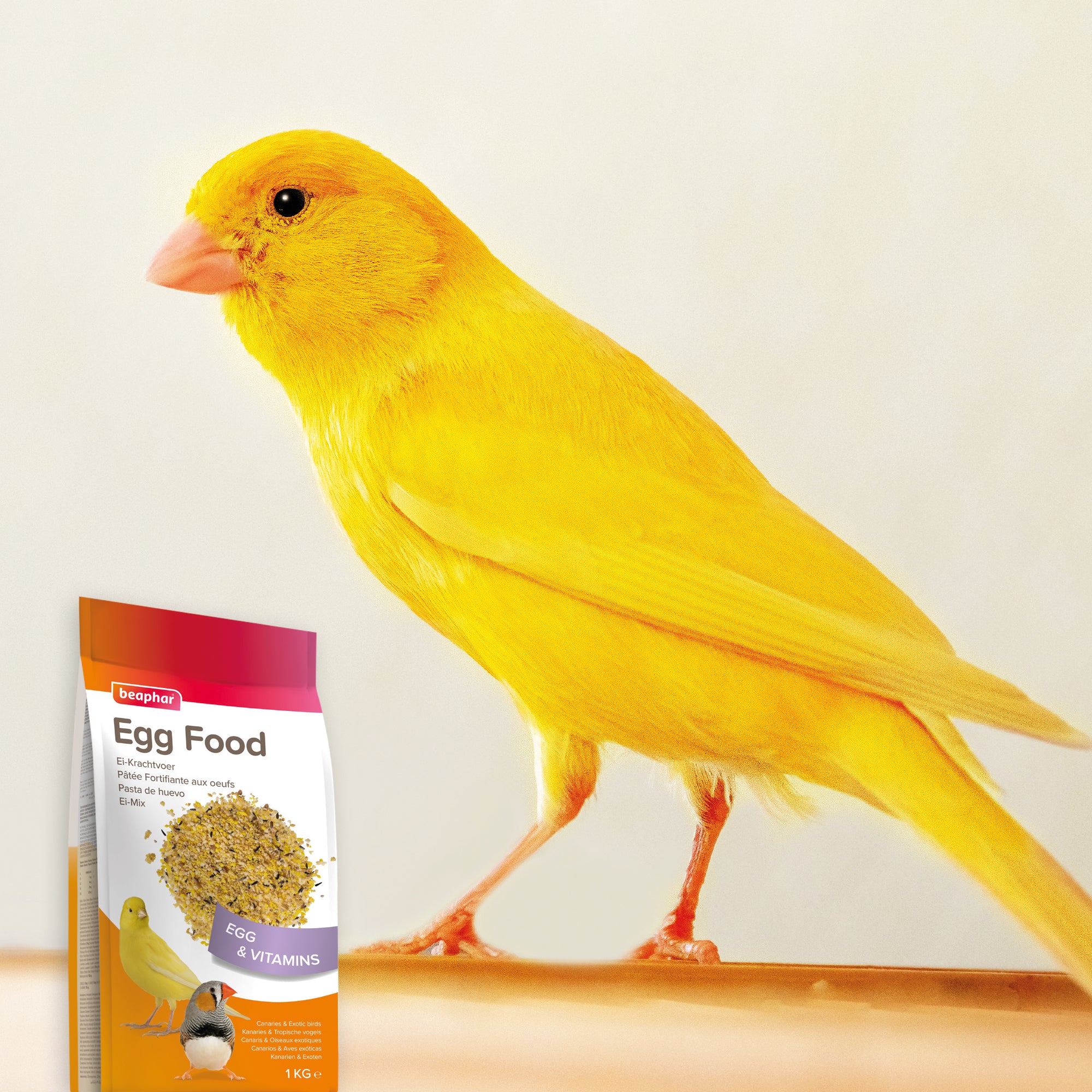 Beaphar Egg Food For Canaries & Finches 1kg - Image 5