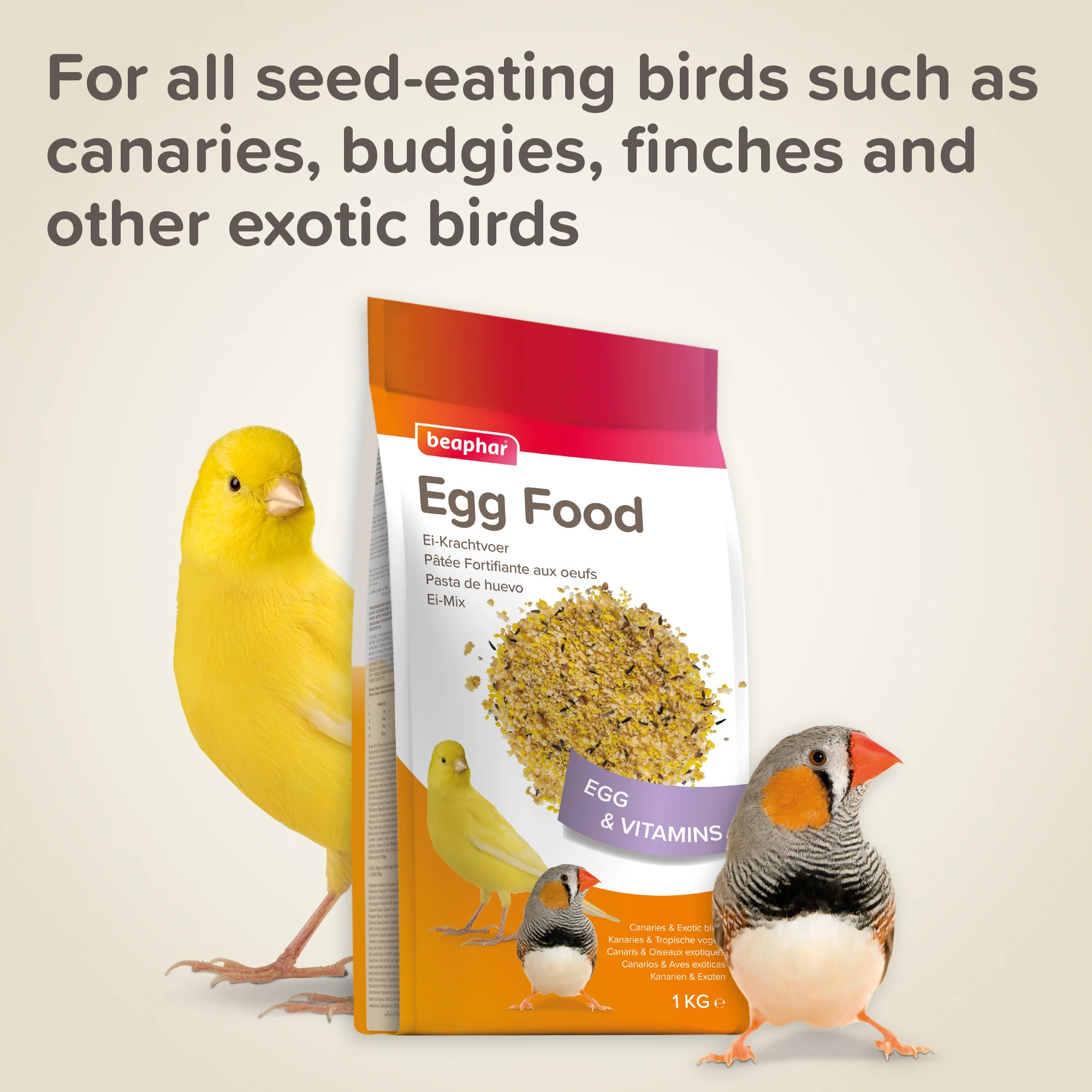 Beaphar Egg Food For Canaries & Finches 1kg - Image 7
