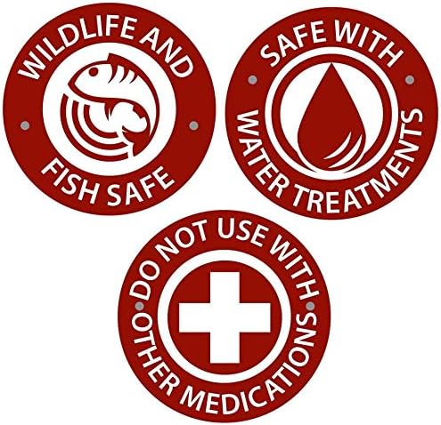 Blagdon Anti Fungus & Bacteria Extra Strength 250ml - Image 3