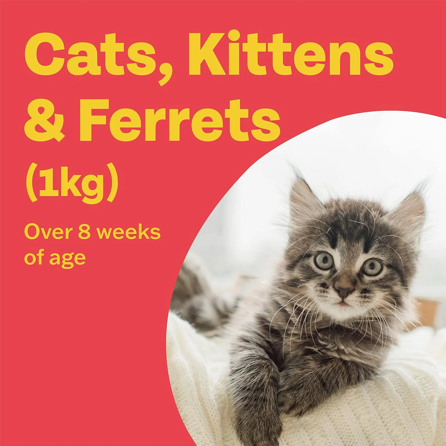 Bob Martin Clear Plus Spot On Cats 1kg+ 3 Pipettes - Image 4