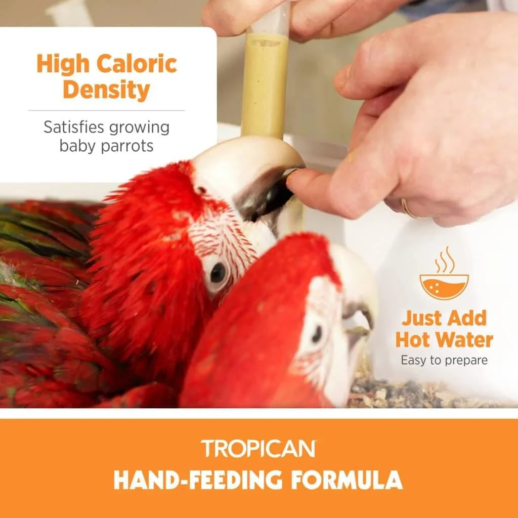 Hari Tropican Breeding Mash Handrearing Food 5kg - Image 3
