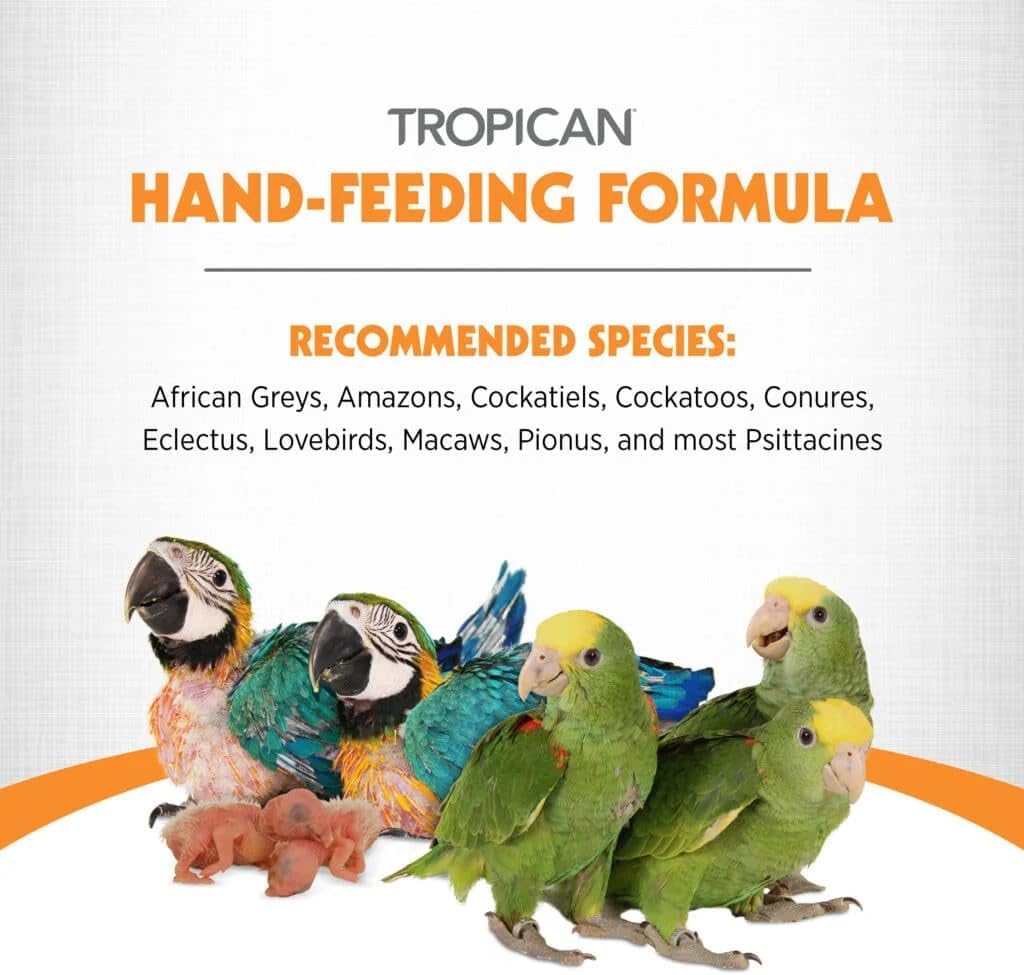 Hari Tropican Breeding Mash Handrearing Food 5kg - Image 5