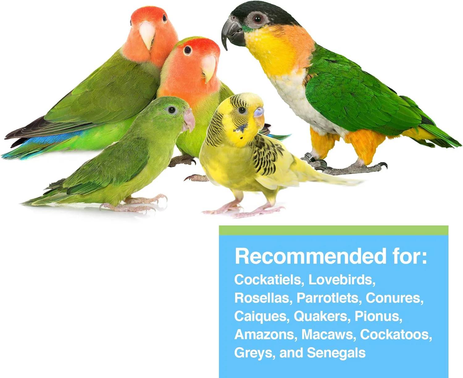 Hari Tropican Lifetime Parrot Granules 4mm 1.8kg - Image 3