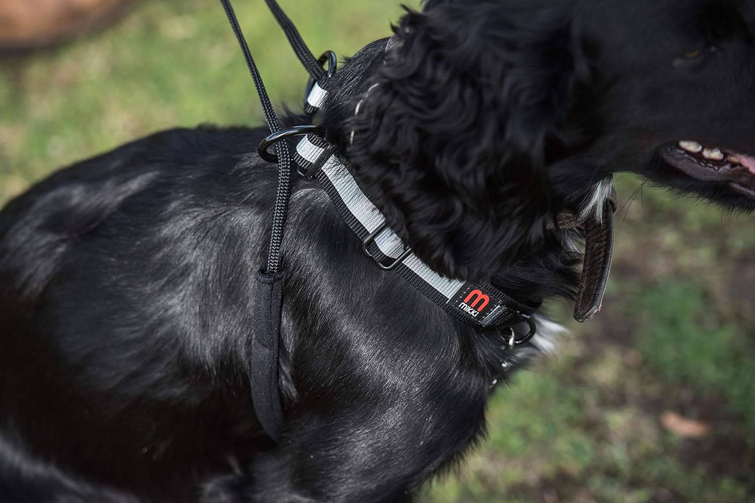 Mikki Anti Pull Harness Medium - Image 7