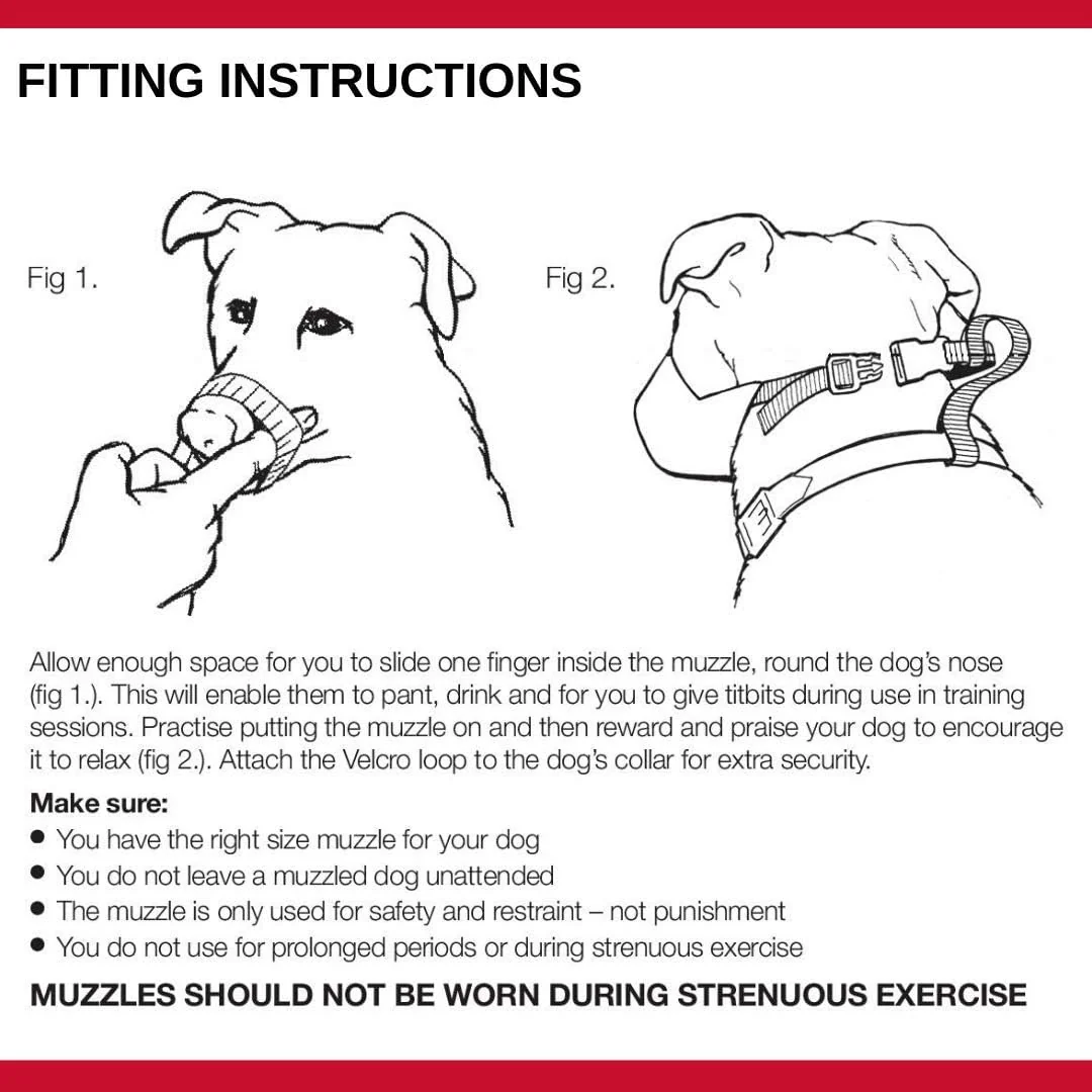 Mikki Nylon Muzzle Size 5 - Image 5
