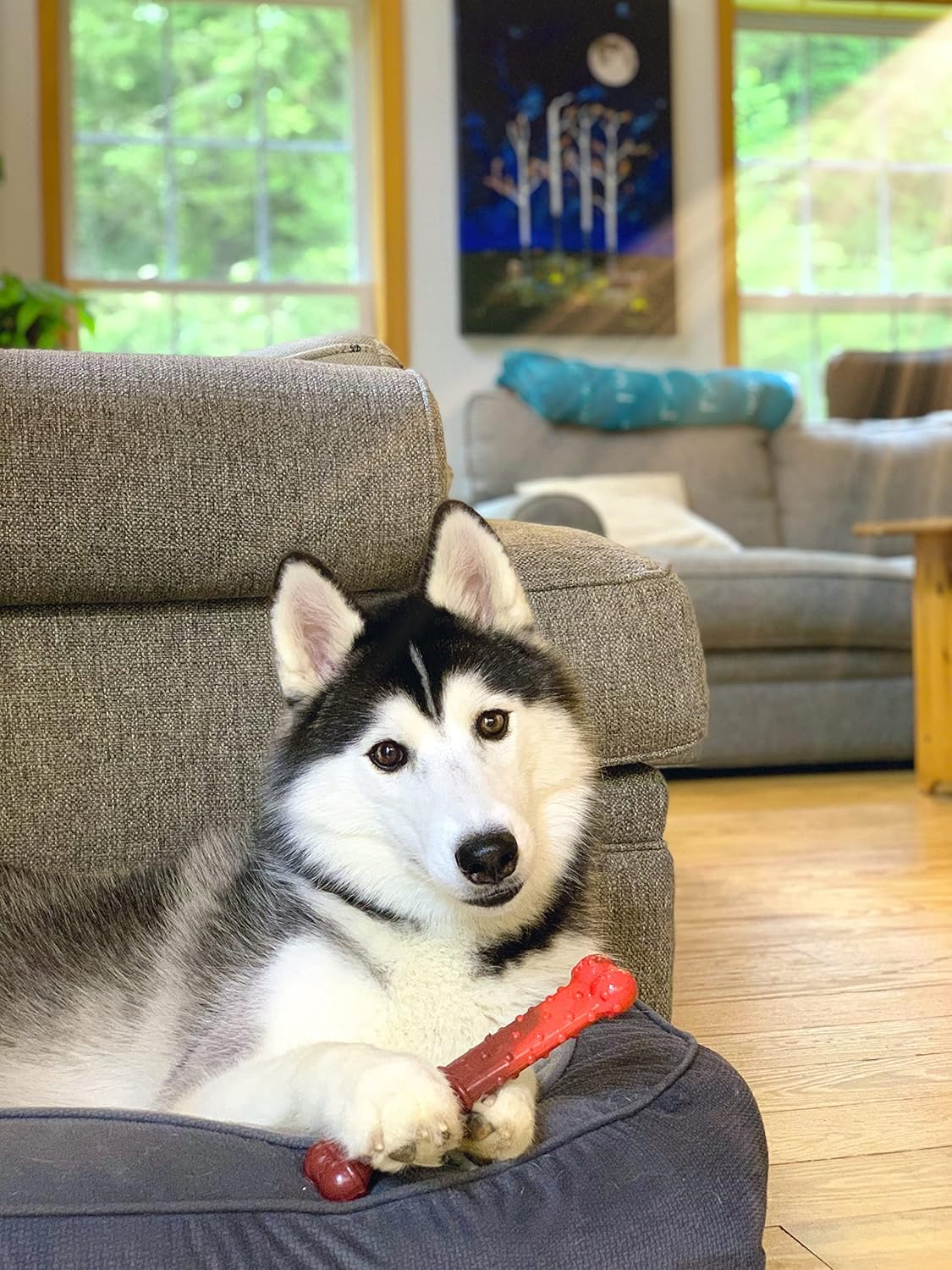 Nylabone Beef Jerky Giant - Image 5