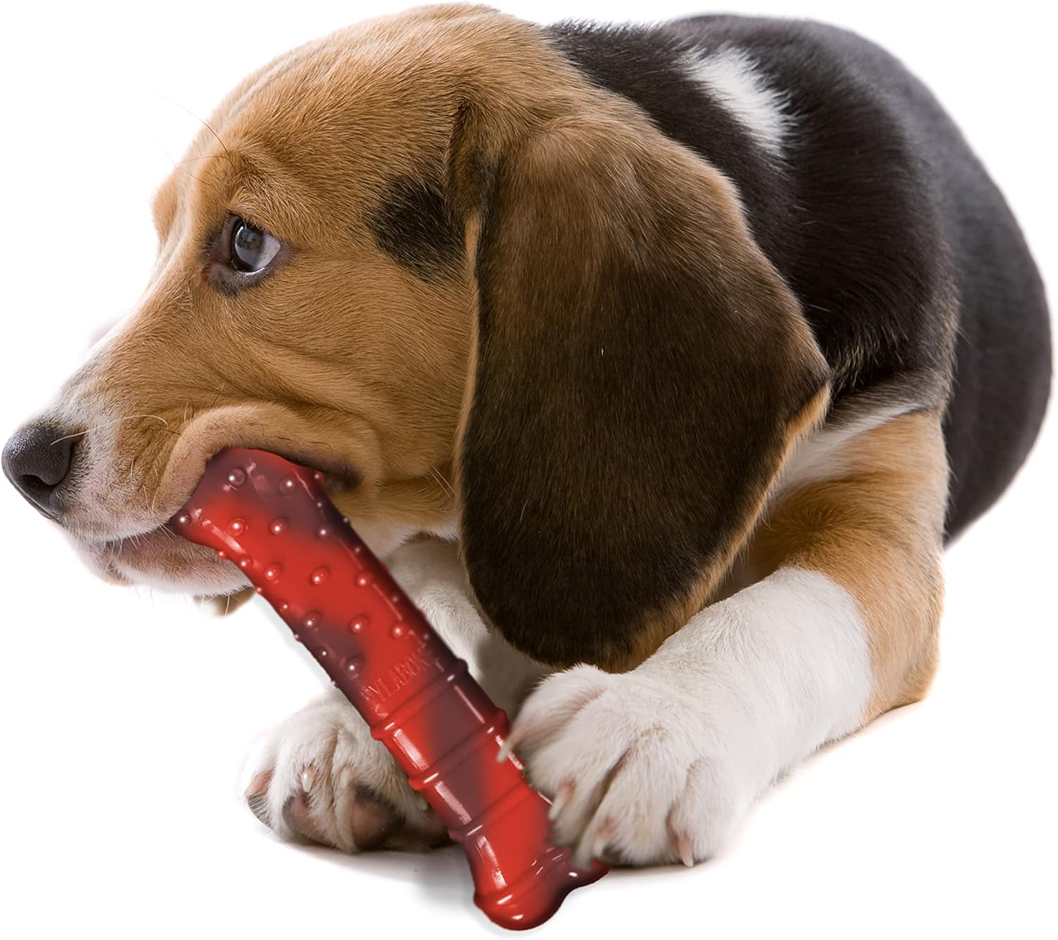 Nylabone Beef Jerky Wolf - Image 5