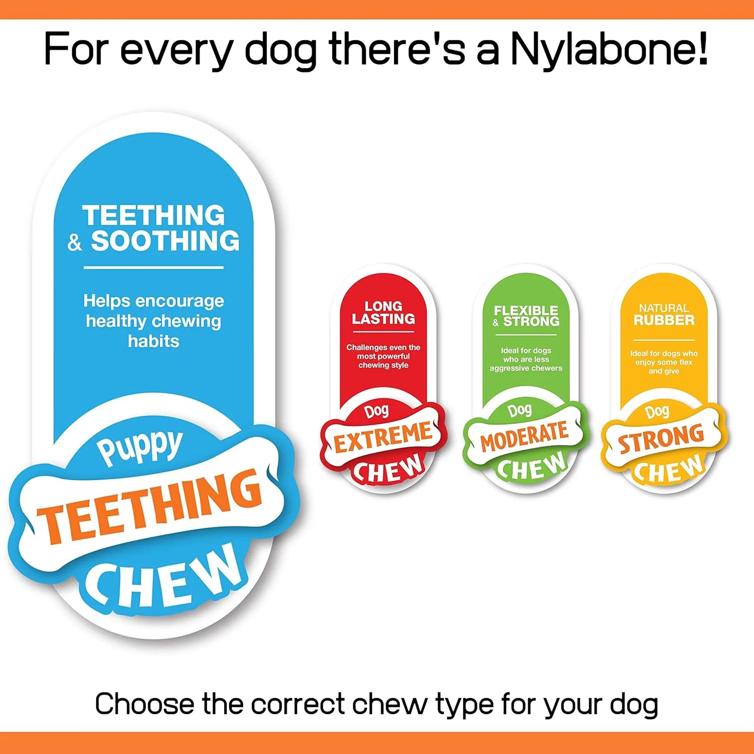 Nylabone Puppy Starter Kit 3 pcs - Image 6